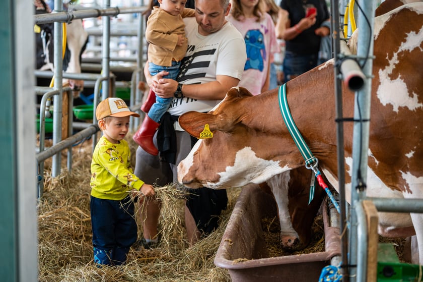 Regionalna Wystawa Zwierząt Hodowlanych we Wrocławiu