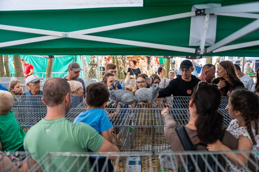 Regionalna Wystawa Zwierząt Hodowlanych we Wrocławiu