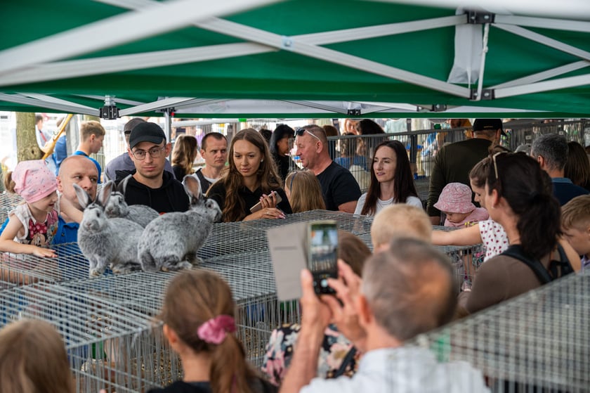 Regionalna Wystawa Zwierząt Hodowlanych we Wrocławiu