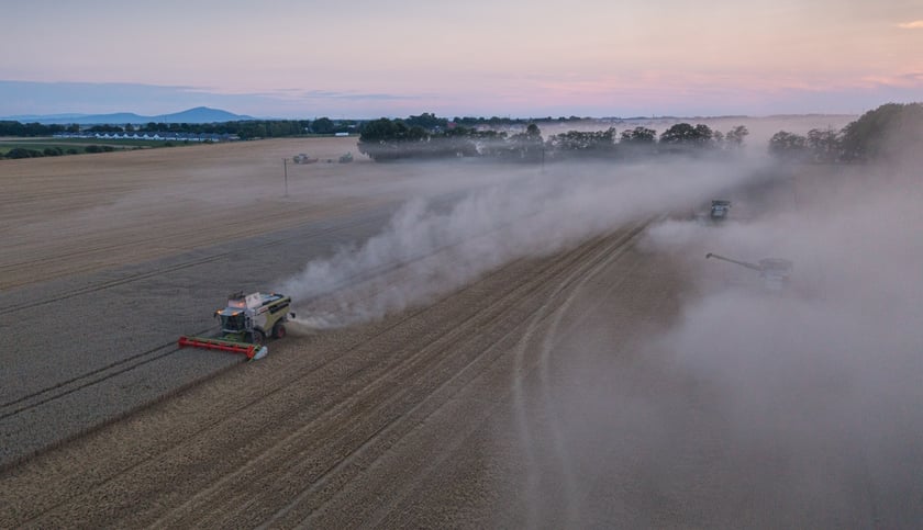 Żniwa na polu pod Wrocławiem