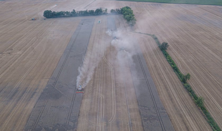 Żniwa na polu pod Wrocławiem