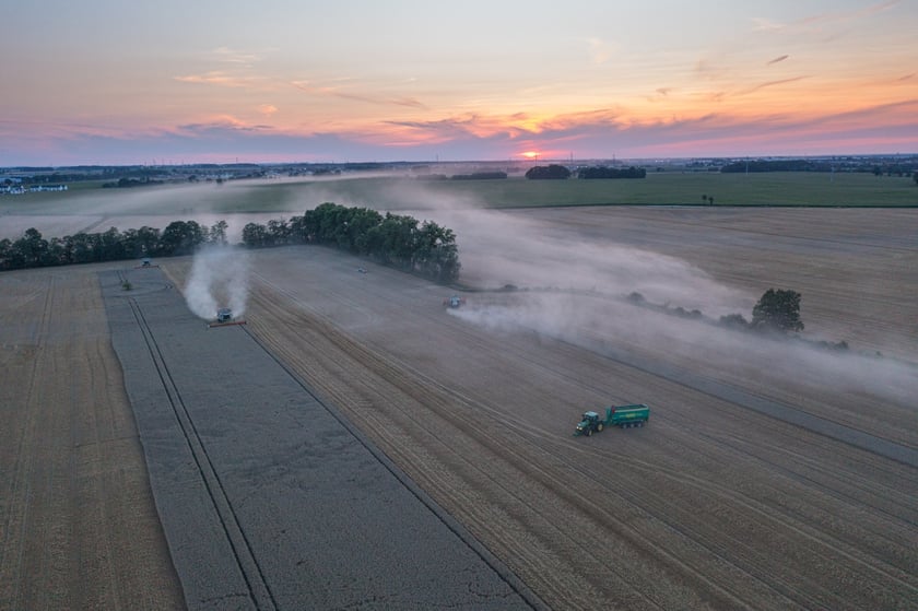 Żniwa na polu pod Wrocławiem