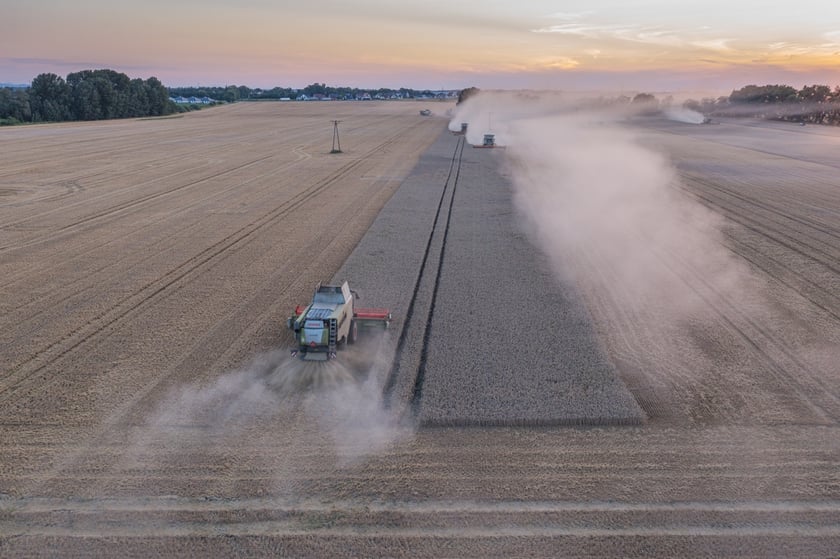 Żniwa na polu pod Wrocławiem
