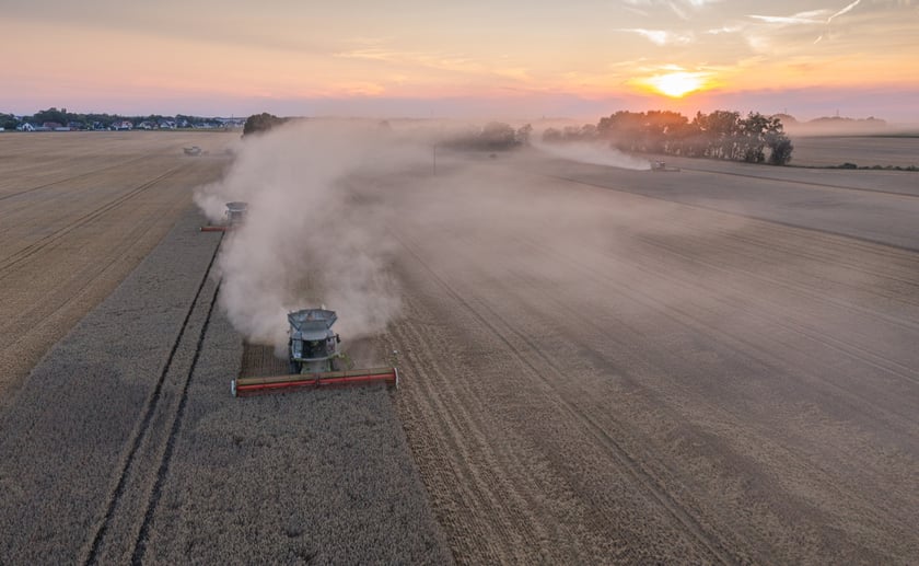 Żniwa na polu pod Wrocławiem