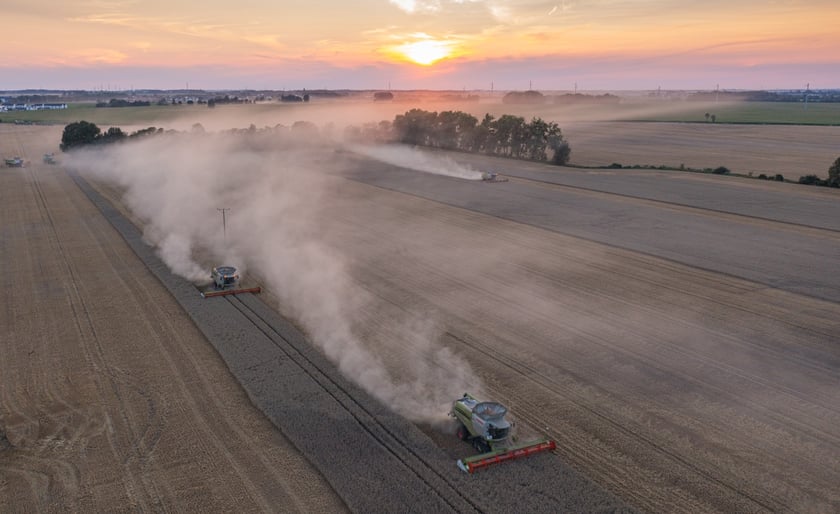 Żniwa na polu pod Wrocławiem