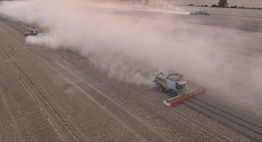 Żniwa na polu pod Wrocławiem