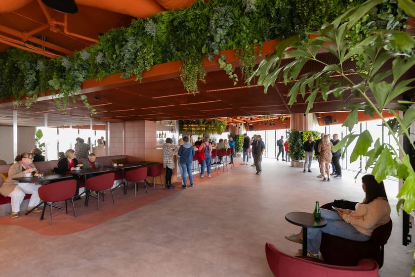 Taras widokowy w Sky Tower&nbsp;