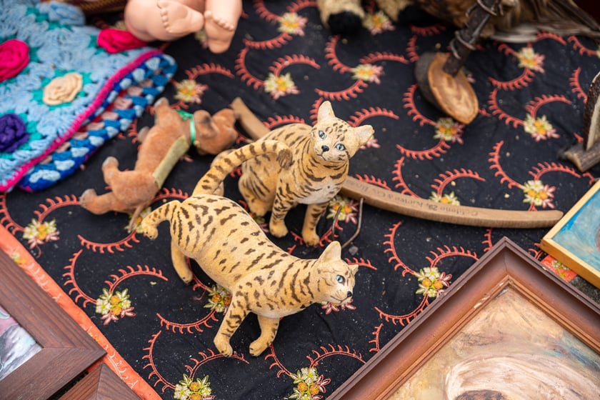 Pchli targ "Na Młynie" pełen jest skarbów. Można je zdobyć - lub tylko pooglądać - w niedziele między godz. 6 a 15