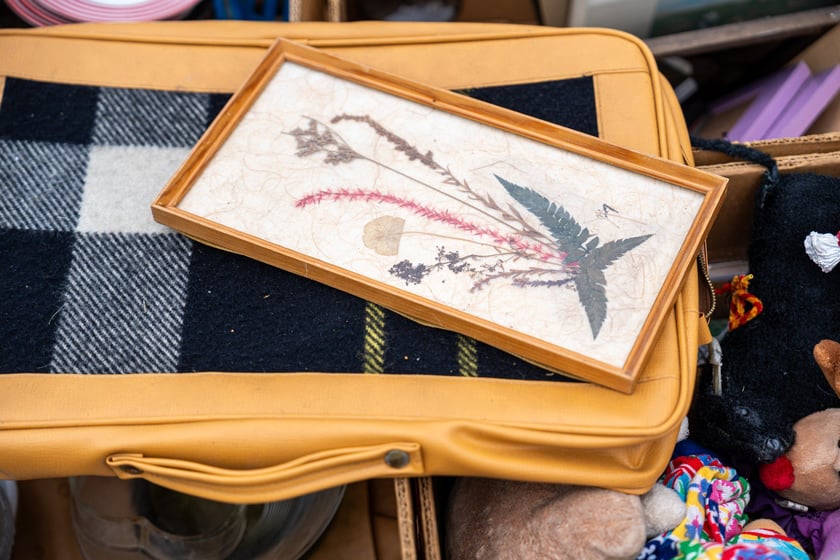 Pchli targ "Na Młynie" pełen jest skarbów. Można je zdobyć - lub tylko pooglądać - w niedziele między godz. 6 a 15