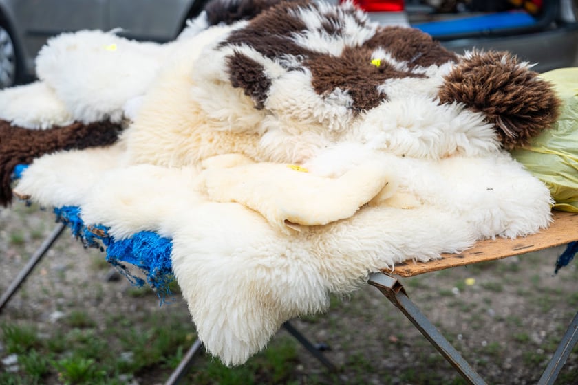 Pchli targ "Na Młynie" pełen jest skarbów. Można je zdobyć - lub tylko pooglądać - w niedziele między godz. 6 a 15