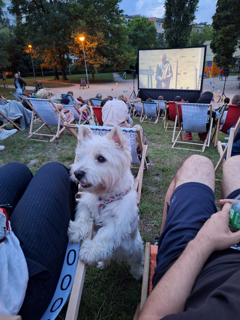 W letnim kinie na Szczepinie