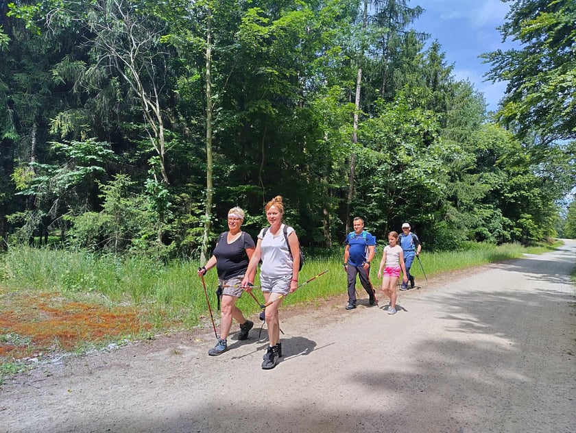 Bezplatne zajęcia Nordic Walking