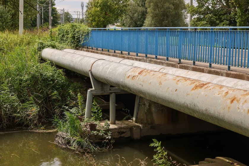 Stary most Pilczycki, 5 sierpnia 2024