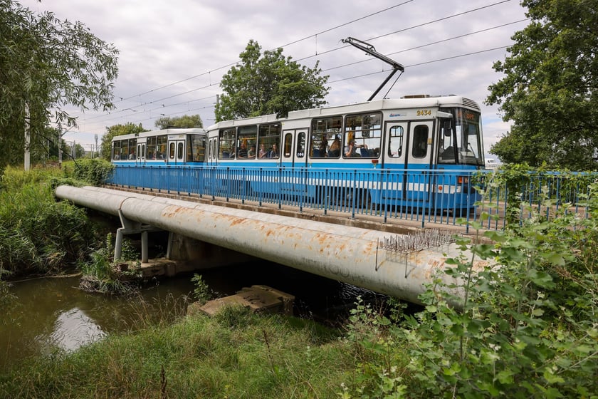 Stary most Pilczycki, 5 sierpnia 2024