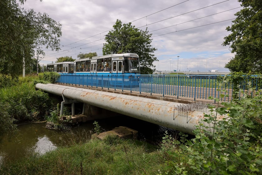 Stary most Pilczycki, 5 sierpnia 2024