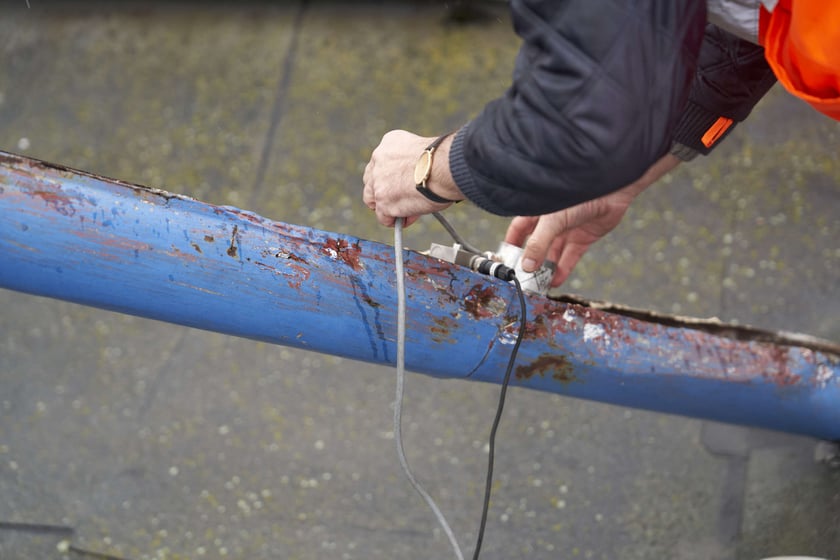 Trzonolinowiec, zdjęcie archiwalne