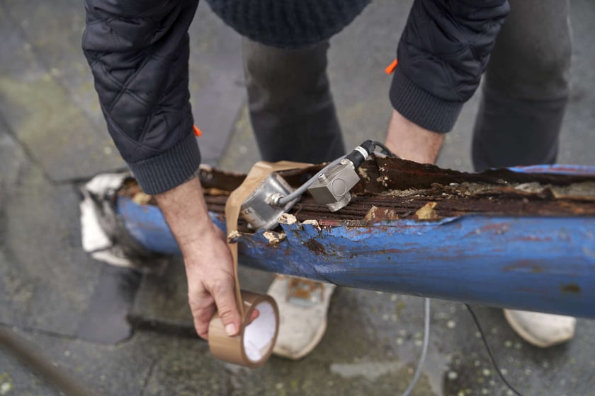 Trzonolinowiec, zdjęcie archiwalne