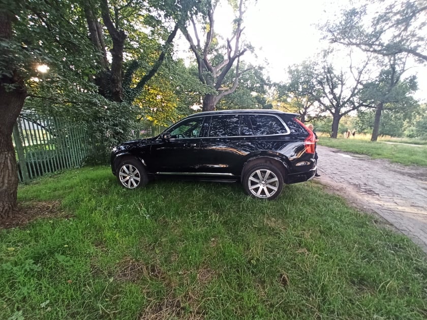 Przykłady nieprawidłowo zaparkowanych samochod&oacute;w