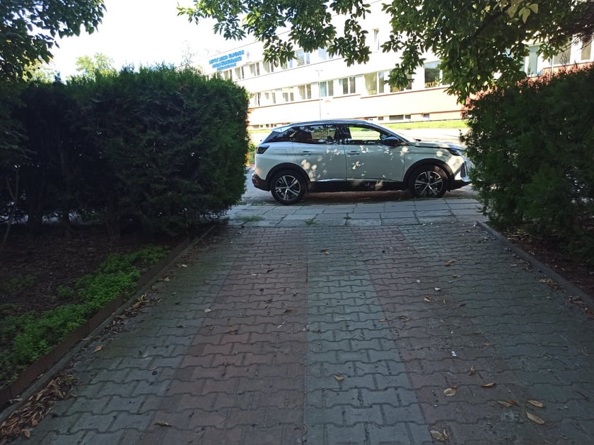 Przykłady nieprawidłowo zaparkowanych samochod&oacute;w