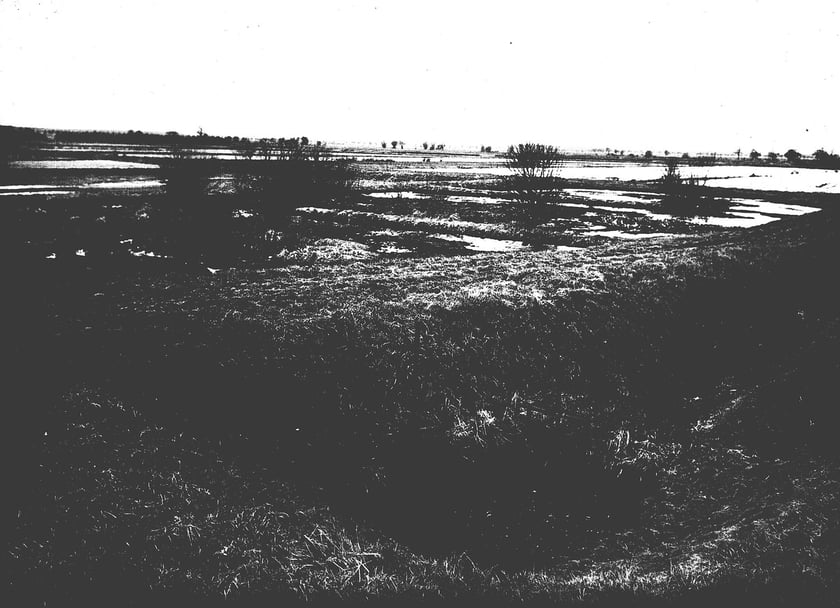 Pola Osobowickie, lata 30. XX wieku