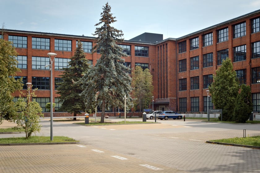 Spacer sąsiedzki po Psim Polu (18.08.2024), oprowadzają Monika Glińska i Zhanna Nogina