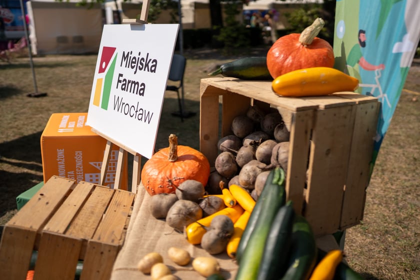 Wrocławskie Dni Promocji Zdrowia, 07.09.2024