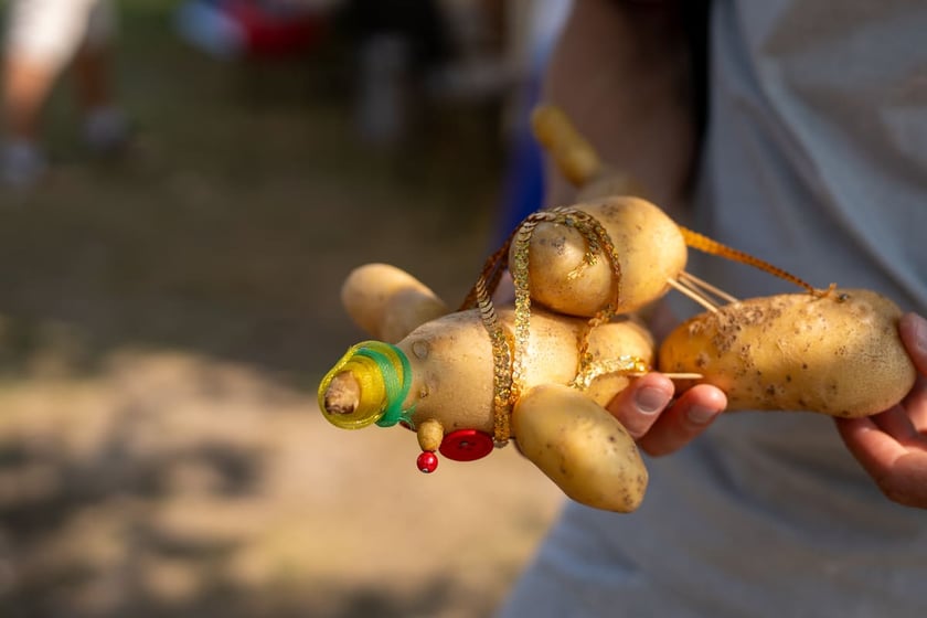 Wrocławskie Dni Promocji Zdrowia, 07.09.2024