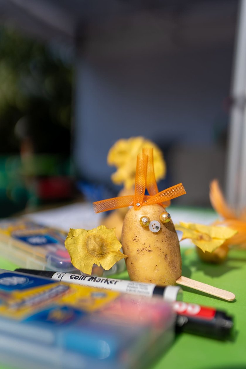 Wrocławskie Dni Promocji Zdrowia, 07.09.2024