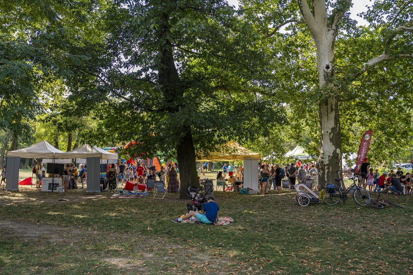 Festyn na Przedmieściu Świdnickim, 8 września 2024