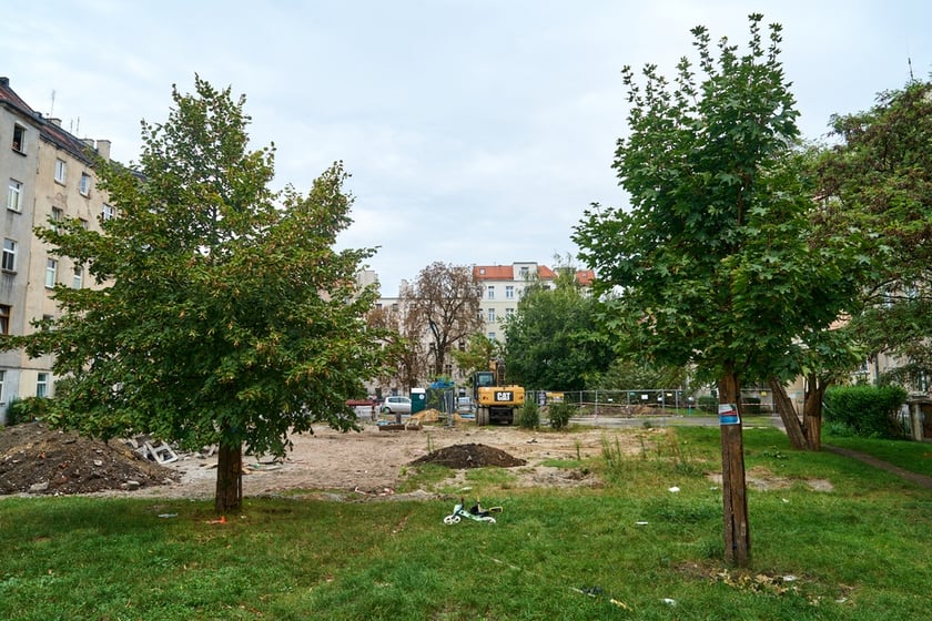 Wycinka drzew na kleczkowskim podwórku została na razie wstrzymana.