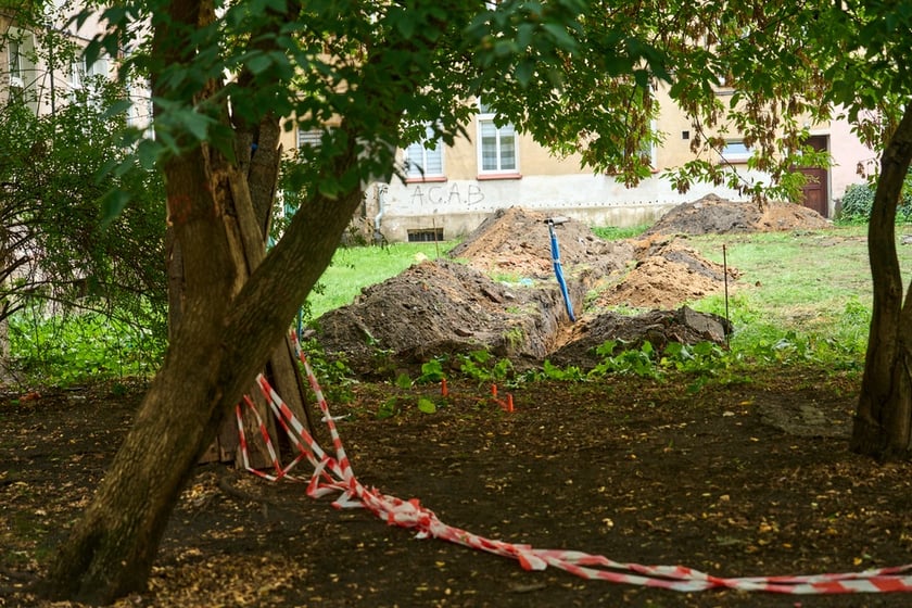 Wycinka drzew na kleczkowskim podwórku została na razie wstrzymana.