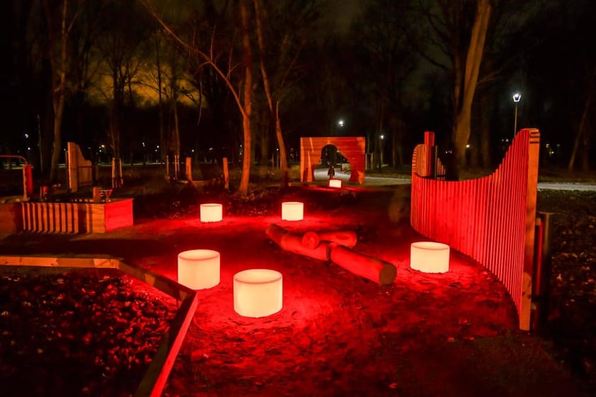 Plac zabaw Leśne druhy TarnoDuchy