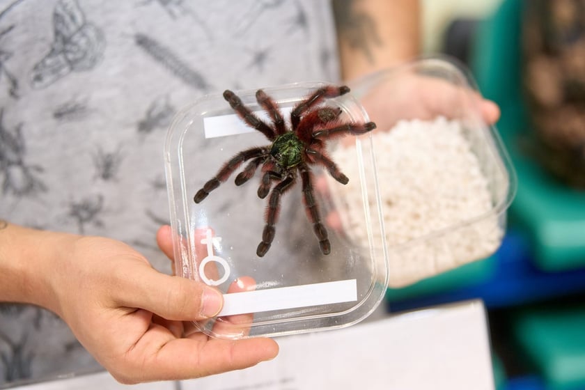 Targi ZooEgzotyka w Hali Orbita 15 września
