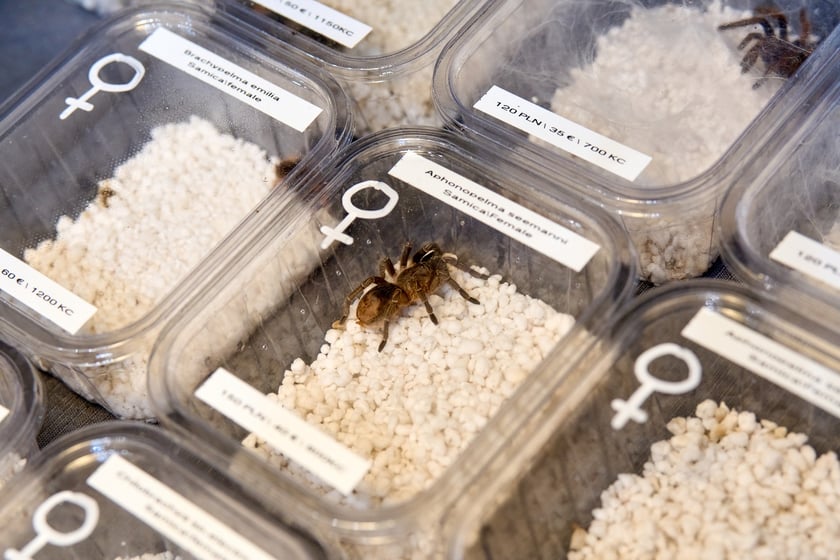 Targi ZooEgzotyka w Hali Orbita 15 września