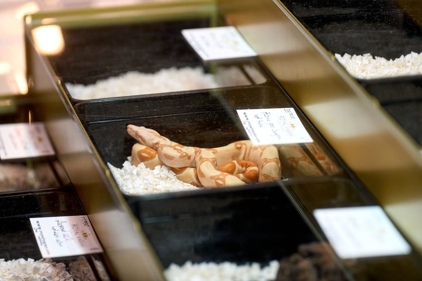 Targi ZooEgzotyka w Hali Orbita 15 września