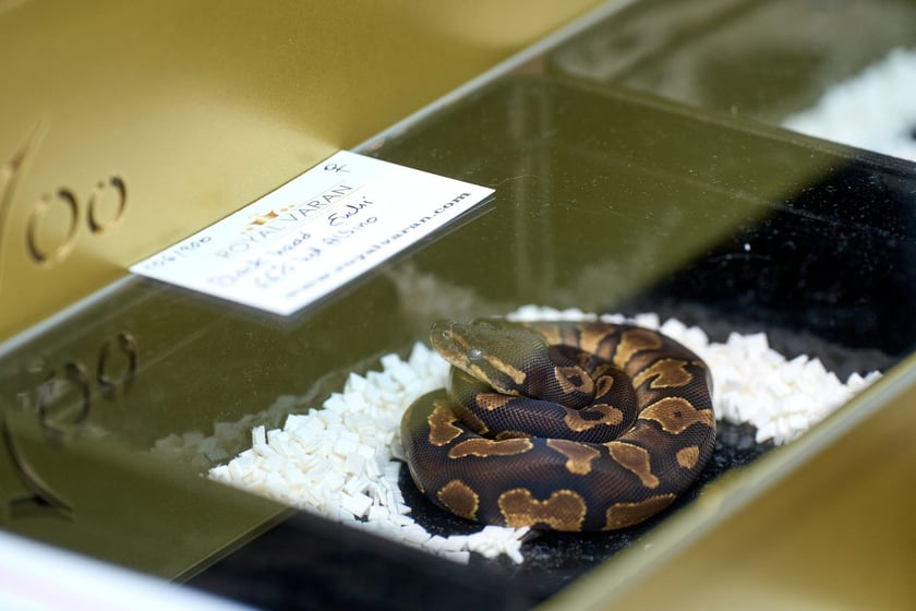 Targi ZooEgzotyka w Hali Orbita 15 września