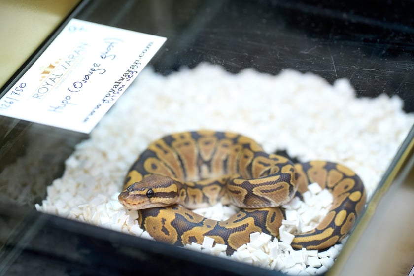 Targi ZooEgzotyka w Hali Orbita 15 września