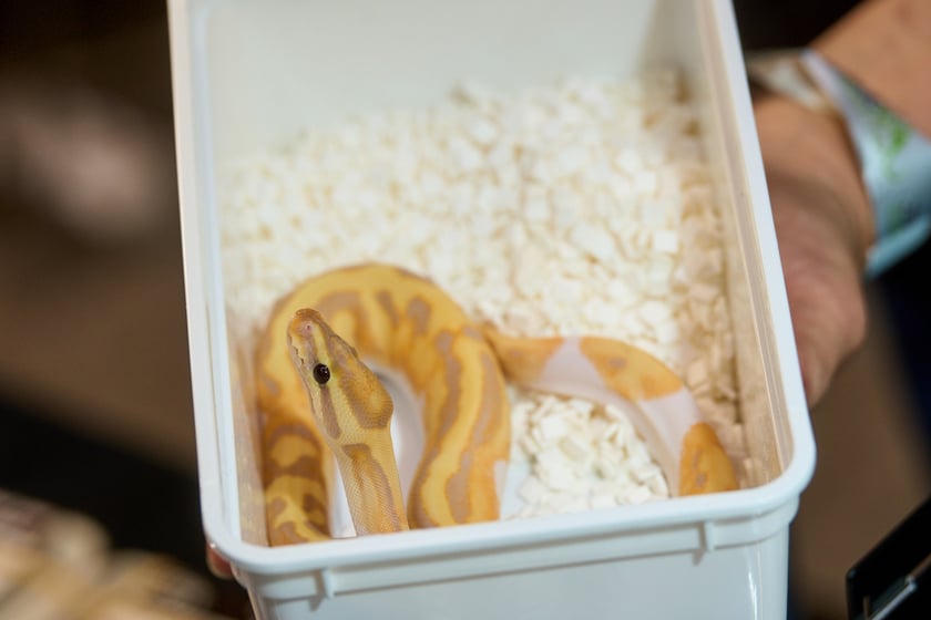 Targi ZooEgzotyka w Hali Orbita 15 września