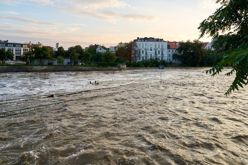 Odra we Wrocławiu,  19 września