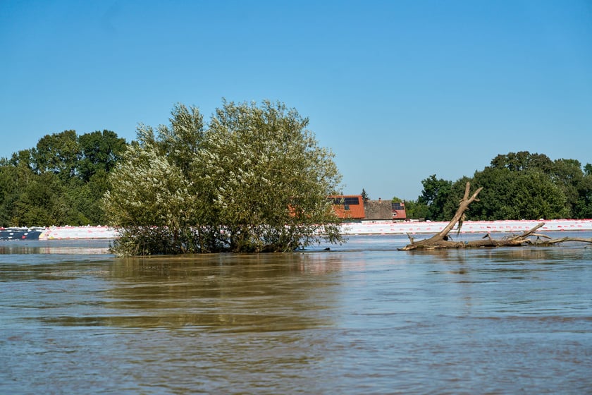 Patrol policyjny na Odrze we Wrocławiu