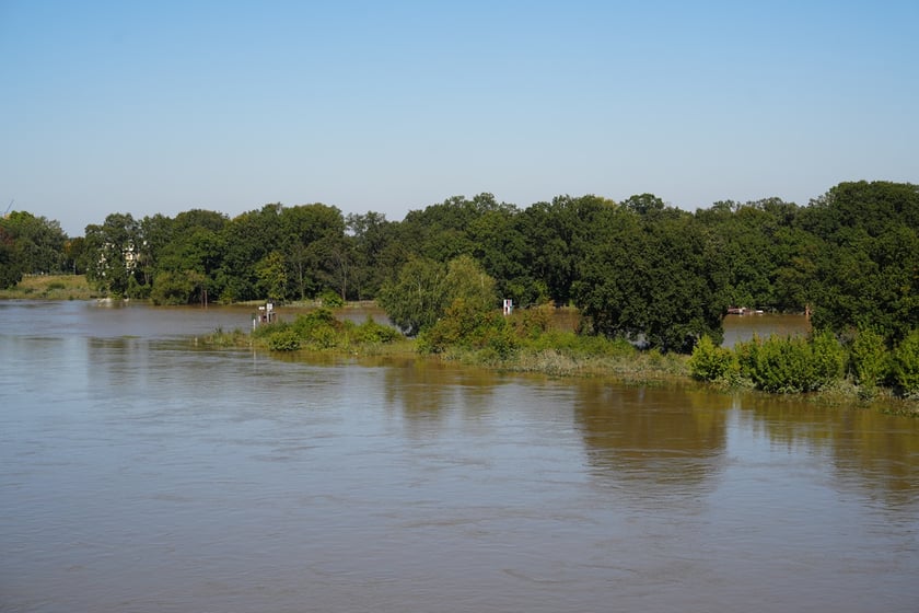 Most Milenijny nad Odrą we Wrocławiu: Dobry widok na Odrę
