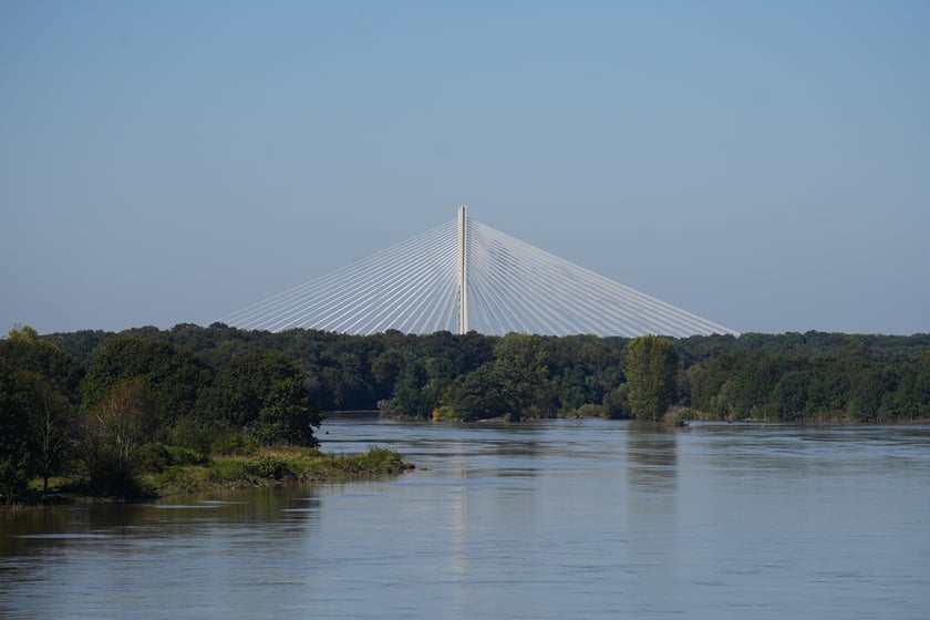 Most Milenijny nad Odrą we Wrocławiu: Dobry widok na Odrę