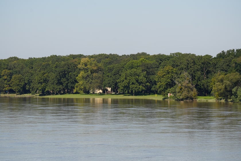 Most Milenijny nad Odrą we Wrocławiu: Dobry widok na Odrę