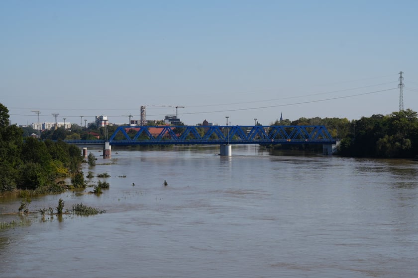 Most Milenijny nad Odrą we Wrocławiu: Dobry widok na Odrę
