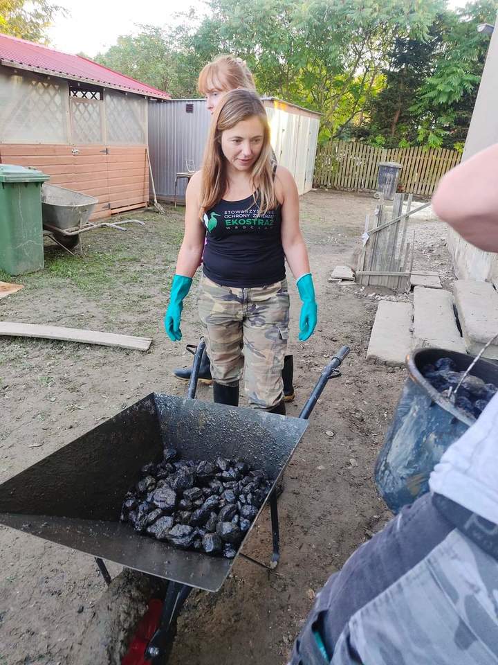 Wolontariusze Ekostaży z pomocą na Dolnym Śląsku