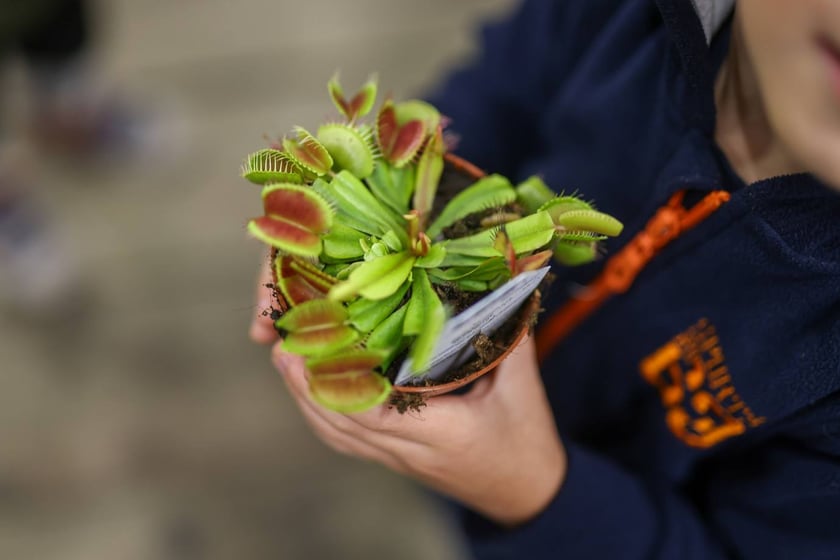 Festiwal Roślin we Wrocławiu - 28.09.2024