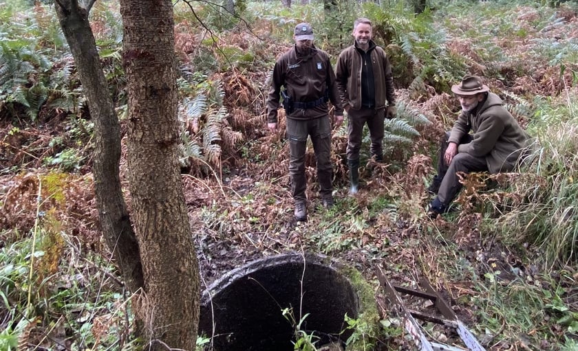 Akcja uwalniania dzika w Nadleśnictwie Żmigród