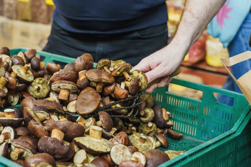 Stoiska z grzybami w Hali Targowej we Wrocławiu