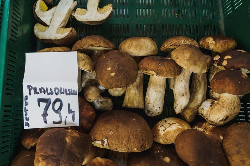 Stoiska z grzybami w Hali Targowej we Wrocławiu