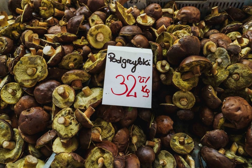 Stoiska z grzybami w Hali Targowej we Wrocławiu